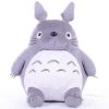 gray-totoro